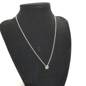 silver tone necklace with small paw charm
